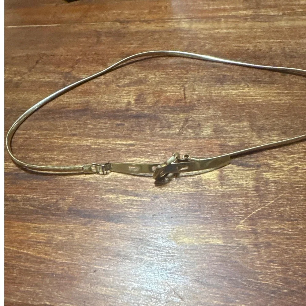 Vintage Gold Tone Metal Snake Chain Belt Skinny Adjustable Horseshoe Buckle 32in